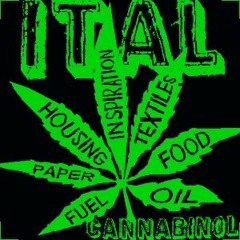 ITAL CANNABINOL - Critical - Version By SONANDO - COOL - Critical Riddim (Prod. Good Over Evil)