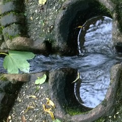 water'n'synths