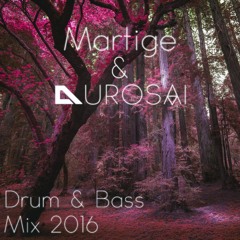 Martige & Durosai Drum & Bass Mix 2016