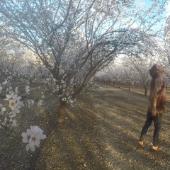 Moonhawk -Show you somehow DEMO