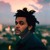 Artwork for The Weeknd - In The Night