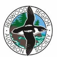 Redwood Regional Audubon Society Hosts Nationally Recognized Bird Researcher