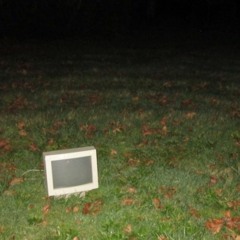 1 - 29 - 16  bassy Yoga