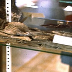 Wake up USA a UFO study guest Stanton Friedman