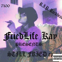 FRIEDLIFE KAY- STILL FRIED