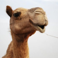 Shoulda Known Better - possessed by Paul James