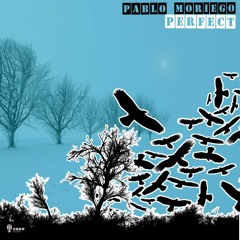 Pablo Moriego - Perfect (original Mix)