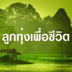 รวมเพลง ลูกทุ่ง เพื่อชีวิต เพราะๆ [HD]