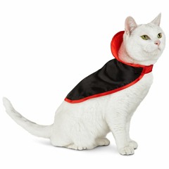 Bloody Cape - Jim Morrell and AC (A Deftones Cover)