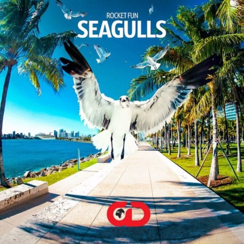 Rocket fun - Seagulls (DRM Remix Edit)