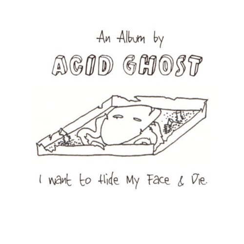 Acid Ghost - There's No Use In Trying Anymore