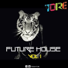 DJ TORE - FUTURE HOUSE VOL.1