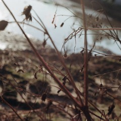 Your Dwelling In The Mountain