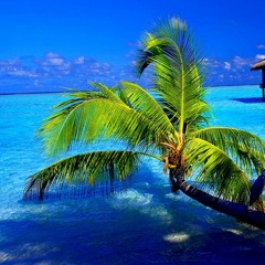 Tropicana my day away