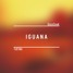 Iguana