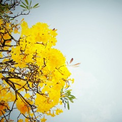 วันที่ฉันป่วย