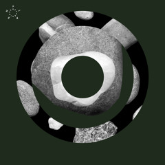 Vinz Exe - Analog Behaviour