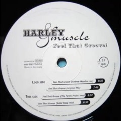 Harley & Muscle - Feel That Groove (Original Mix)