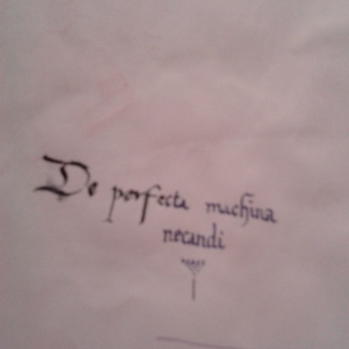 DePerfectaMachinaNecandi SecondDayRunTrhough