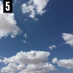 Blended Babies -5-