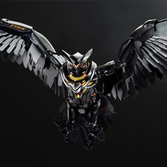 echo