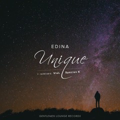 Edina - Unique (VieL Remix)
