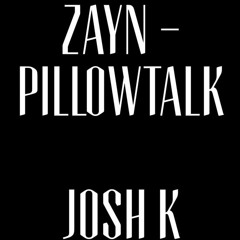 ZAYN - PILLOWTALK (Cover)