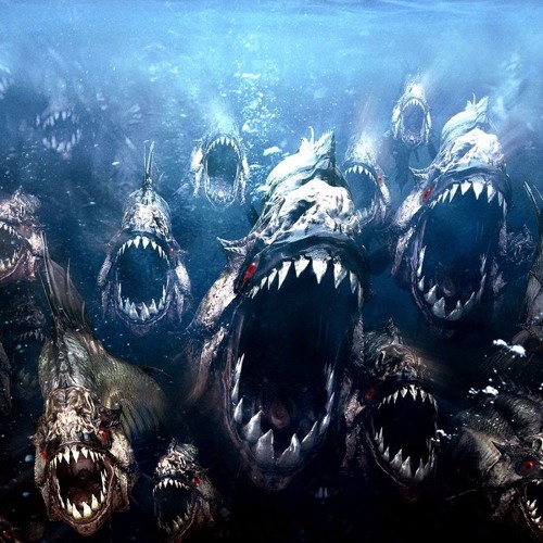 Piranhas | @Skep Sean *OceanLife Attempt pt2* (Sold)