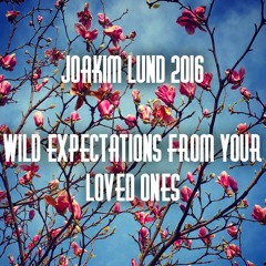 Joakim Lund - Wild Expectations from Your Loved Ones - 2016