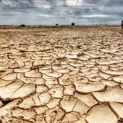Drought (by Tee)