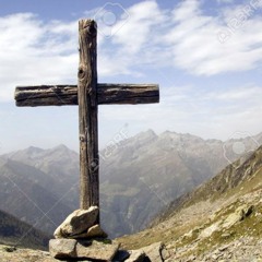 tranim