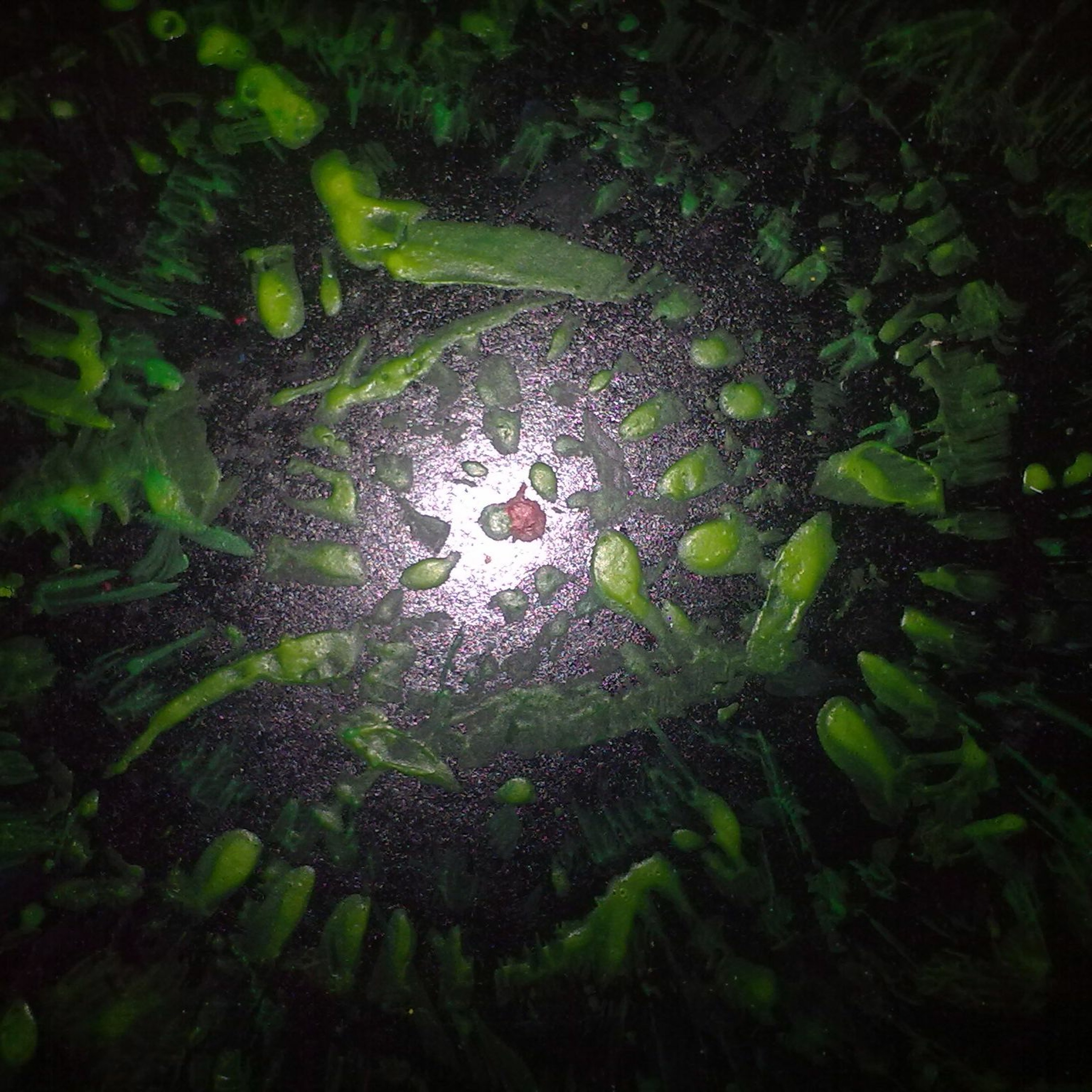 Turbito episode artwork