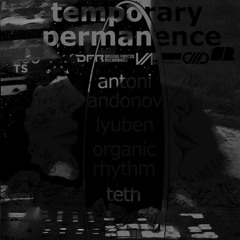 teth - 13.02.2016 @ Terra w/ Temporary Permanence @ Station Hall Ruse
