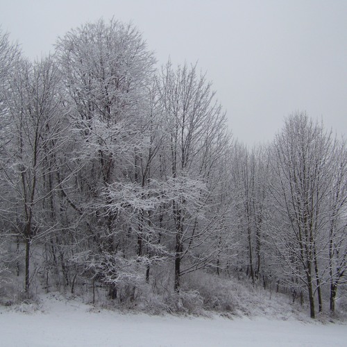 Aero x Shiro - Winter Storm