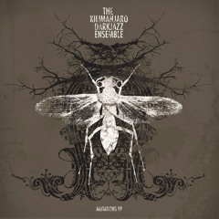 The Kilimanjaro Darkjazz Esemble -  Caos Calmo