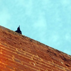 S.H.E.'s Tiny Rythmns with Magpies* [disquiet0216-thinlayers]