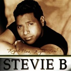 Set Mixado - Stevie B Freestyle Megamix
