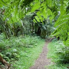 Brazil (Instrumental)