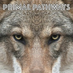 Primal Pathways