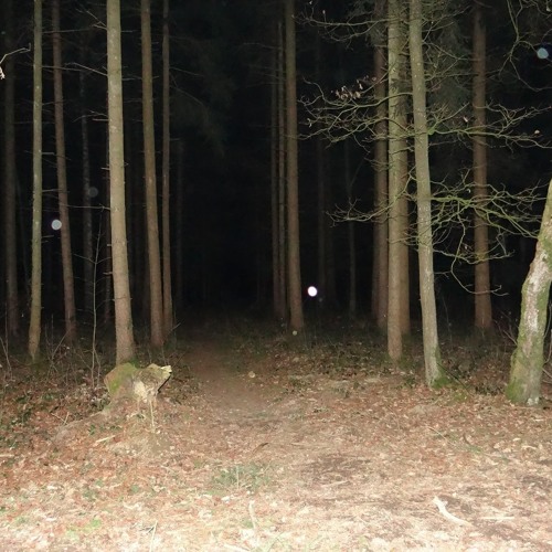 Deep Dark Hollow