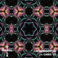 Small Talk - Undercover (Ft. Chris Vu)