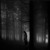 Artwork for Introspective Darkwave