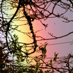 First Rays