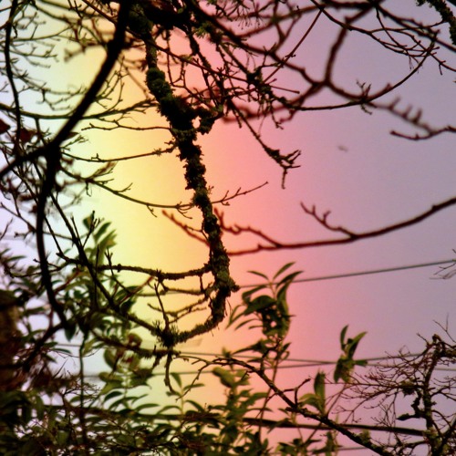 First Rays