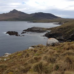 Ek Ong Kara Instrumental