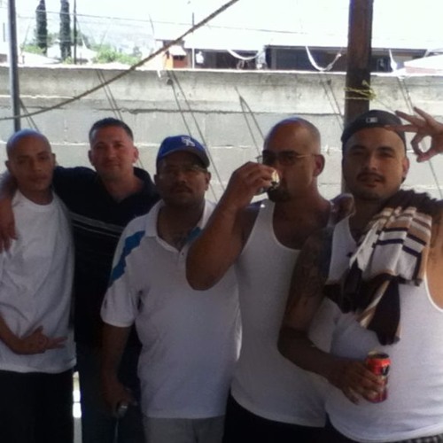 Trusty36 - JackT36 - Shady36