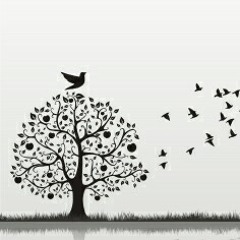 Zua nation-representativos...prod by voz activa