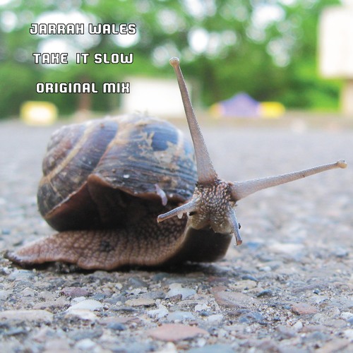 Jarrah Wales - Take It Slow (Original Mix) *Free Download*