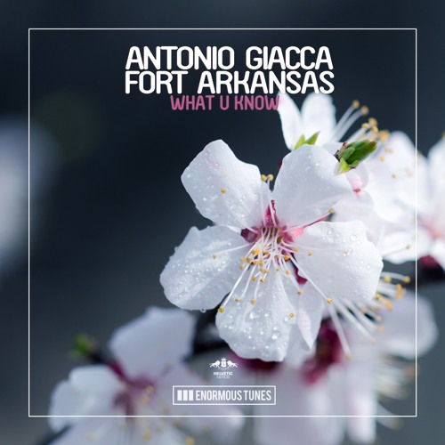 Antonio Giacca & Fort Arkansas - What U Know (Pete Tong BBC Radio 1 Premiere)