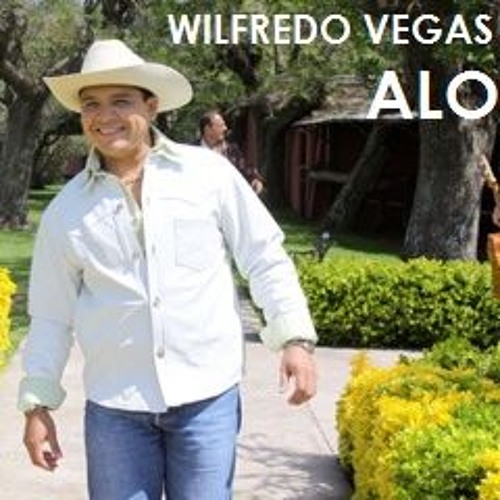 aloe vera wo kaufen Aloe Vera Pflanze online kaufen  MyZimmerpflanze.de